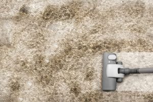 Cleaning Carpet Stain Carpet Cleaning Lancaster PA